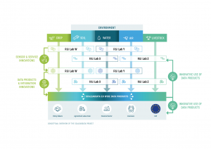 Conceptual overview